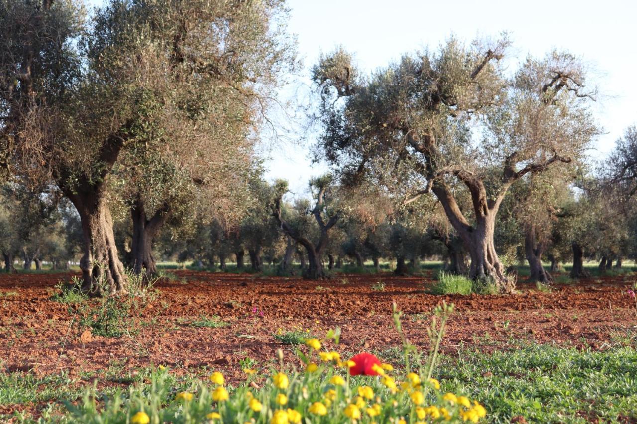 B&B Passione Del Sud Lecce Eksteriør billede